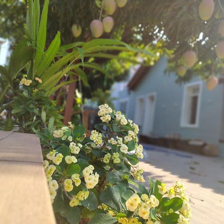 Hotel Aveiro Parnaíba Eksteriør bilde